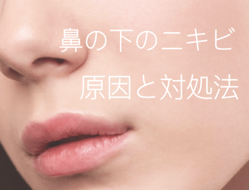 鼻の下のニキビの原因や理由は 身体のどこの不調を表している 改善方法も Aoiro Blog